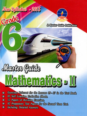 Master Guide Grade 6