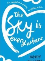 The Sky Is Everywhere | Bookstudio.Lk