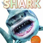 The Ultimate Guide Shark