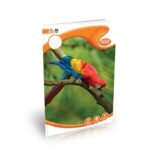 Atlas A4 CR Book Square Ruled 80 Pages