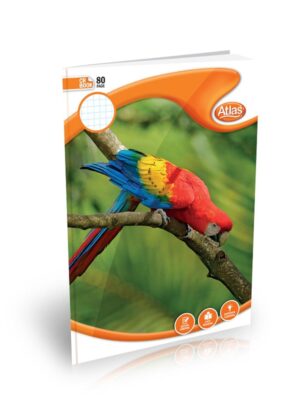 Atlas A4 CR Book Square Ruled 80 Pages