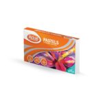 Atlas Pastels 12 Colours