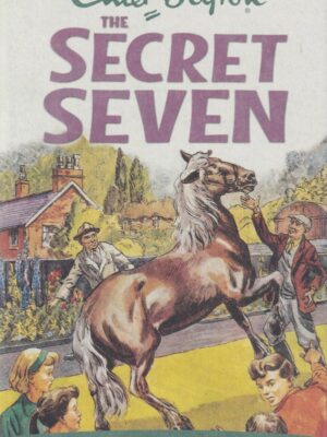Fun For The Secret Seven By Enid Blyton | Bookstudio.Lk