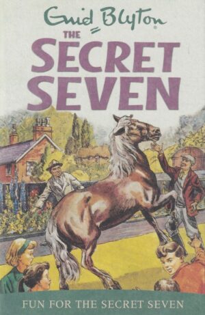 Fun For The Secret Seven By Enid Blyton | Bookstudio.Lk