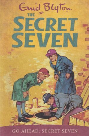 Go Ahead Secret Seven By Enid Blyton | Bookstudio.Lk