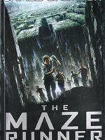 Maze Runner - The Maze Runner