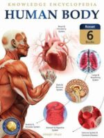 Human Body Box Set: Knowledge Encyclopedia for Children in Sri Lanka - 9789390183630 - Bookstudio.lk