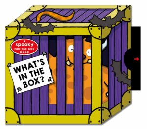 What's In The Box? By Roger Priddy 9780312526573 BookStudio.lk Sri Lanka