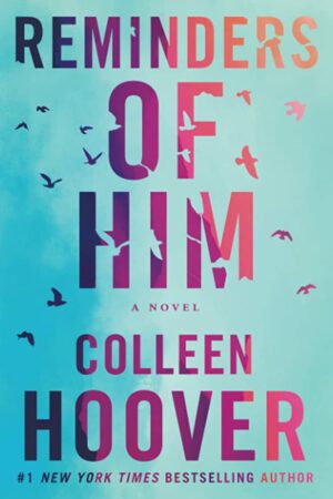 Reminders Of Him By Colleeen Hoover | BookStudio.lk